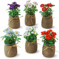 6pcs Artificial Daisy Fall Flowers in Small Glass Container