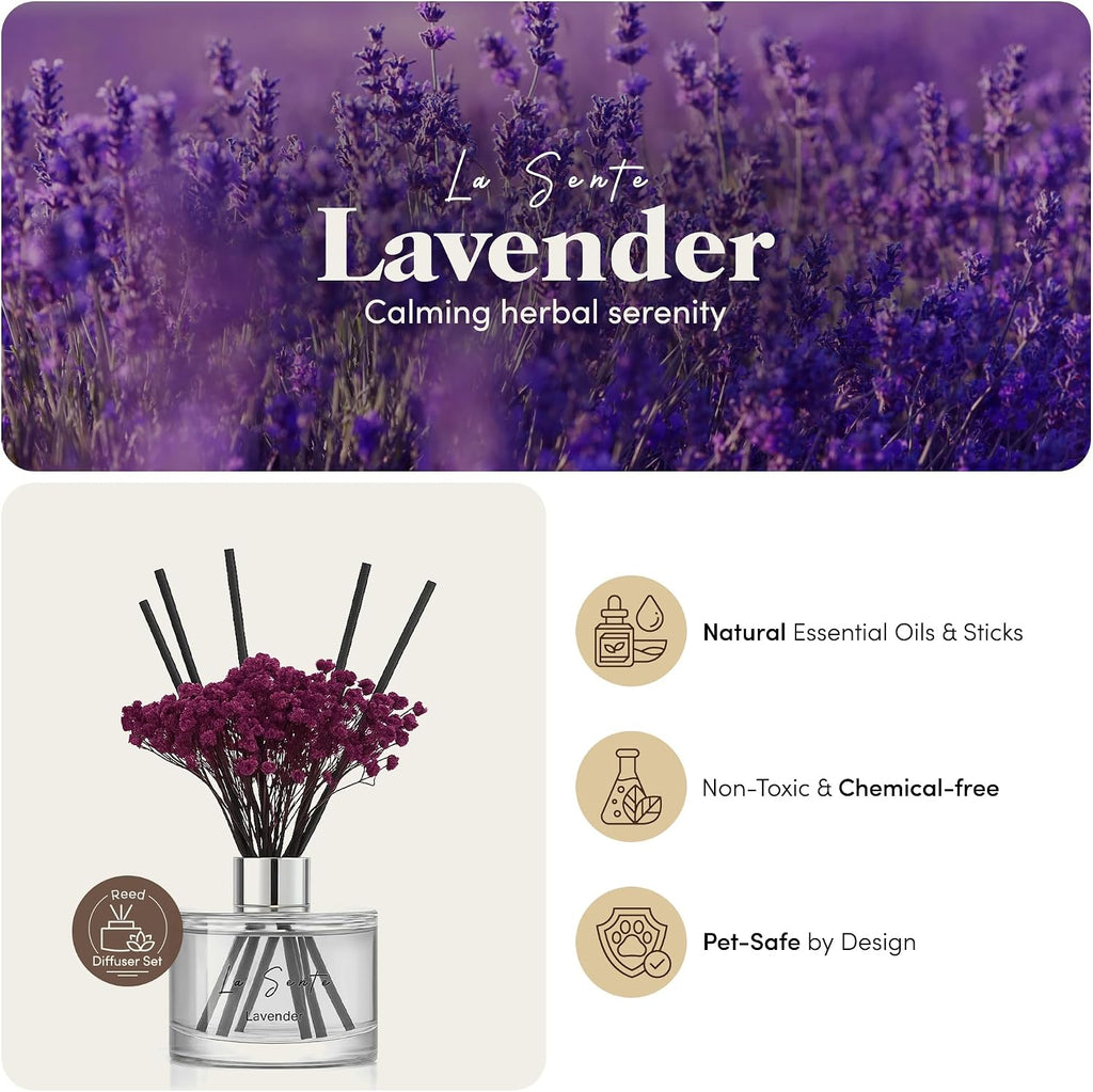 Reed Diffuser Set, Lavender, 6.7fl oz / 200 ml, for Home