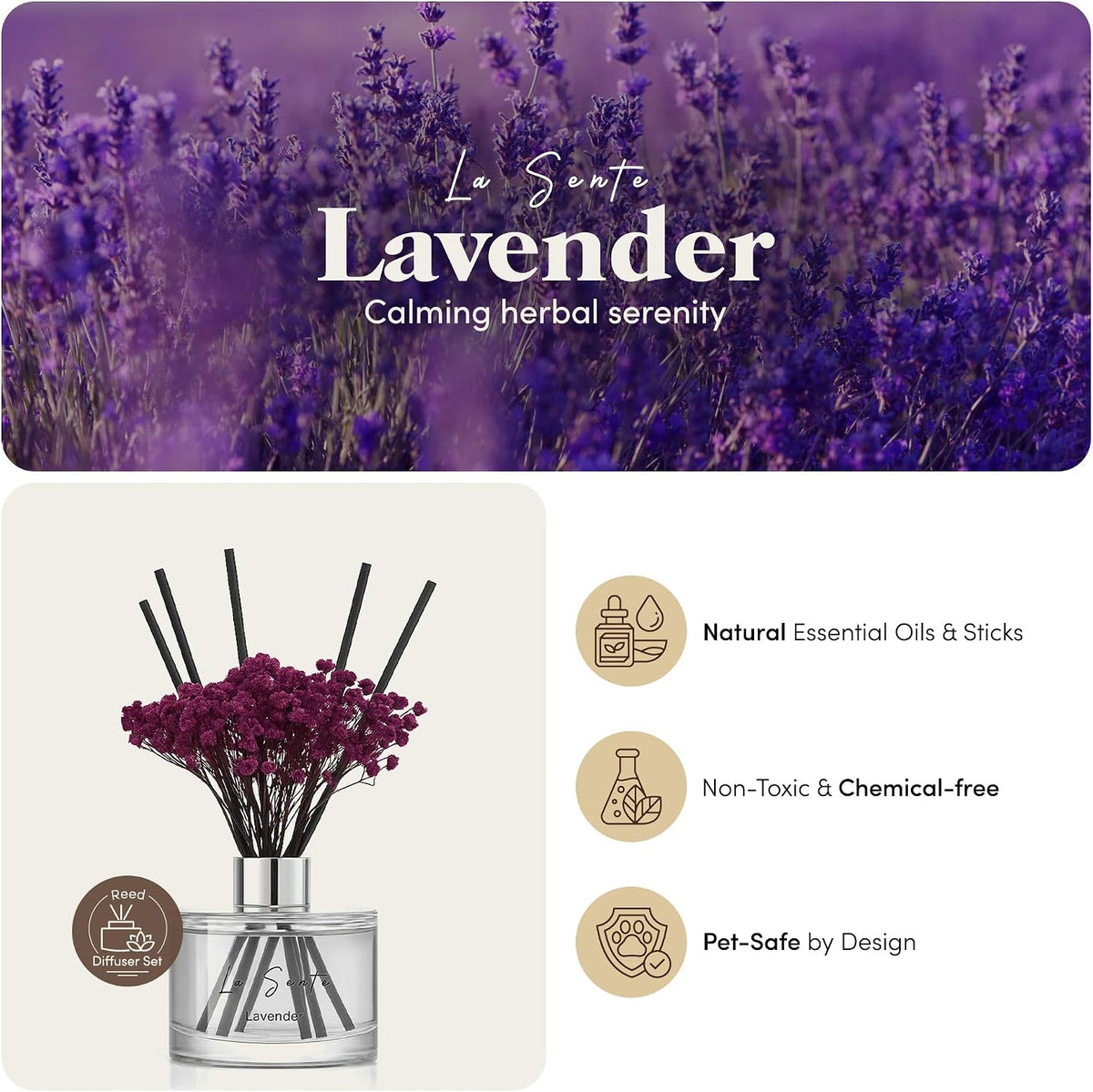 Reed Diffuser Set, Lavender, 6.7fl oz / 200 ml, for Home