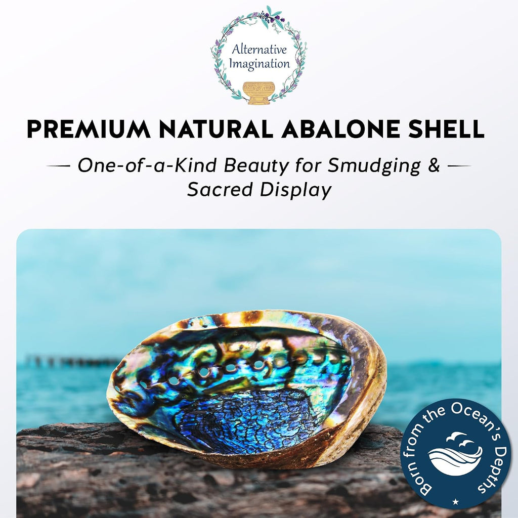 Hand Selected Abalone Shell, 6-Inch+ Polished Smudging & Display Bowl