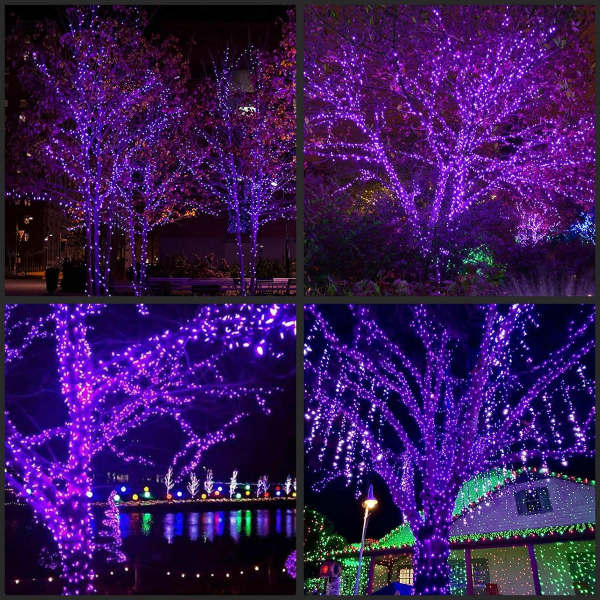 YULETIME 200 Purple Christmas String Lights, 2-Set 33' 100 LED Purple Wire