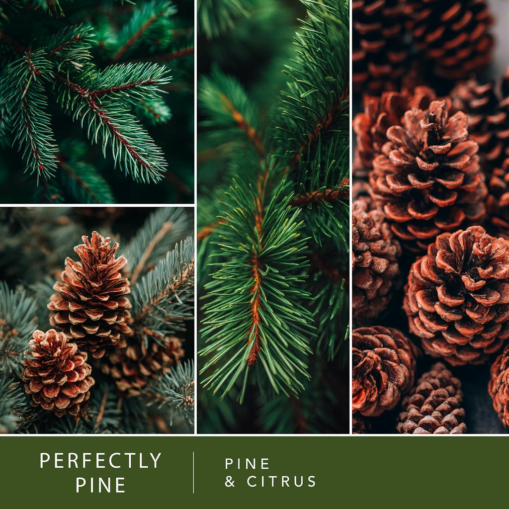 ScentSationals Perfectly Pine - Pine Scented Christmas Wax Melts 10oz