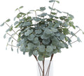 5pcs Artificial Silver Dollars Eucalyptus Stems,Gray Green