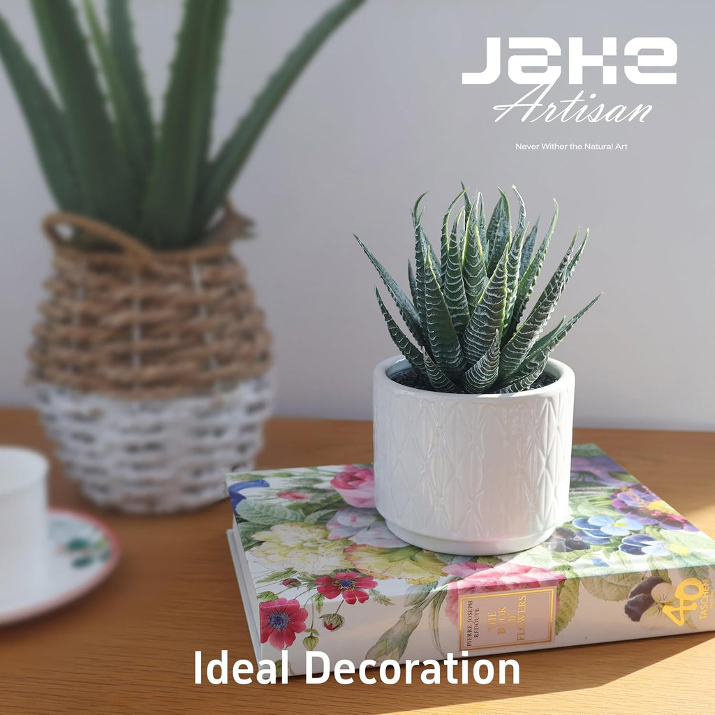 6.7'' High Artificial Succulents, Succulents Plants Artificial
