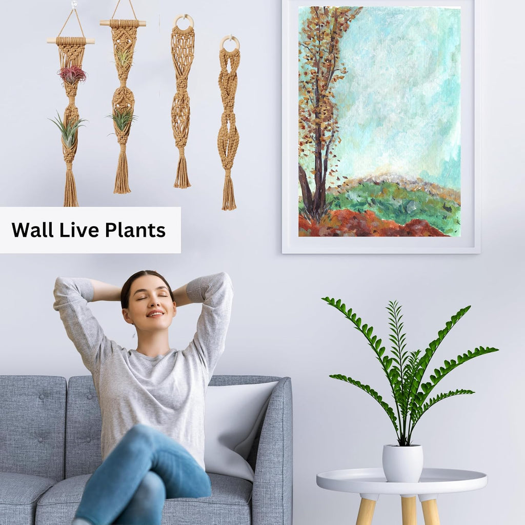 2 Tier 4 Pack Air Plant Holder, Air Plant Wall Hanger