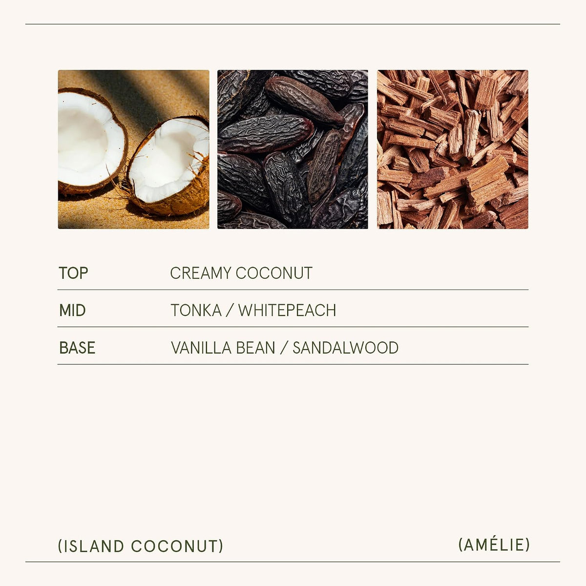 LA JOLIE MUSE Island Coconut Vanilla Scented Candles for Home, Natural Soy