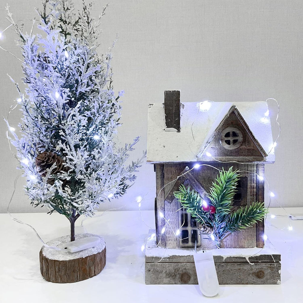 Etinga 20 Pack Fairy Lights, 10 LED 3.3ft Battery String Lights, Cool White