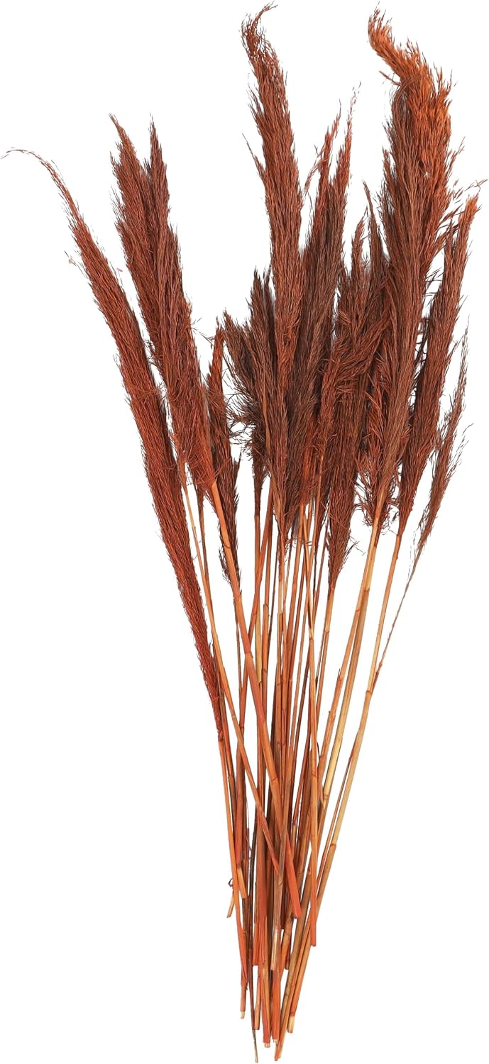 Deco 79 Dried Plant Pampas Grass Natural Foliage Tall , 2" x 1" x 35", Orange