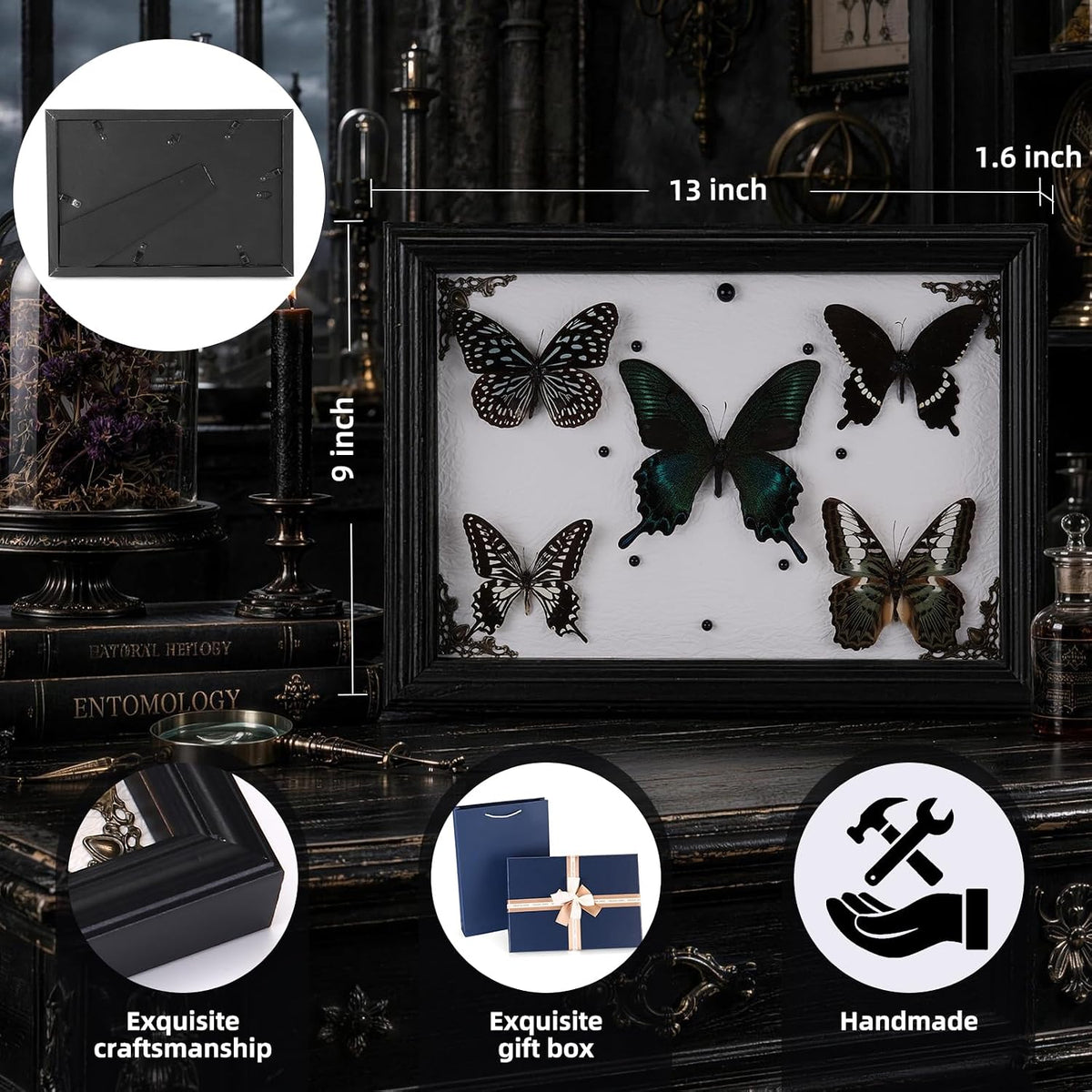 Real Framed Butterfly Taxidermy with 5 Real Butterflies