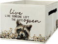 Rustic Raccoon Storage Bins & Boxes with Handles, Farmhouse Raccoon Foldable Basket for Organizing, Live Like Someone Left the Gate Open Collapsible Storage Basket for Bedroom Bathroom Clothes