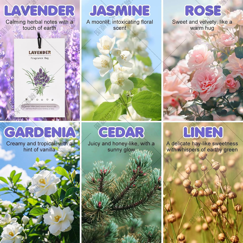 Lavender-12x Fresh Scents Scented Sachet Packet