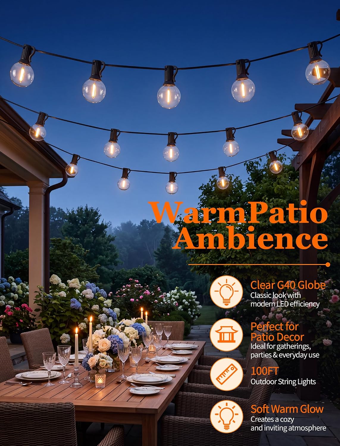 Abeja 100FT G40 LED Outdoor String Lights, 50 Shatterproof Bulbs, Black