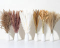 Wertuirk 135Pcs Dried Pampas Grass Boho Home Decor