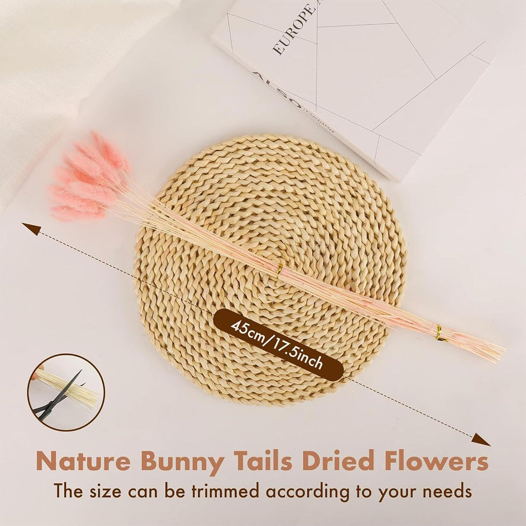 Pink Bunny Tails Dried Grass 120 Pcs 17Inch Natural Lagurus Ovatus