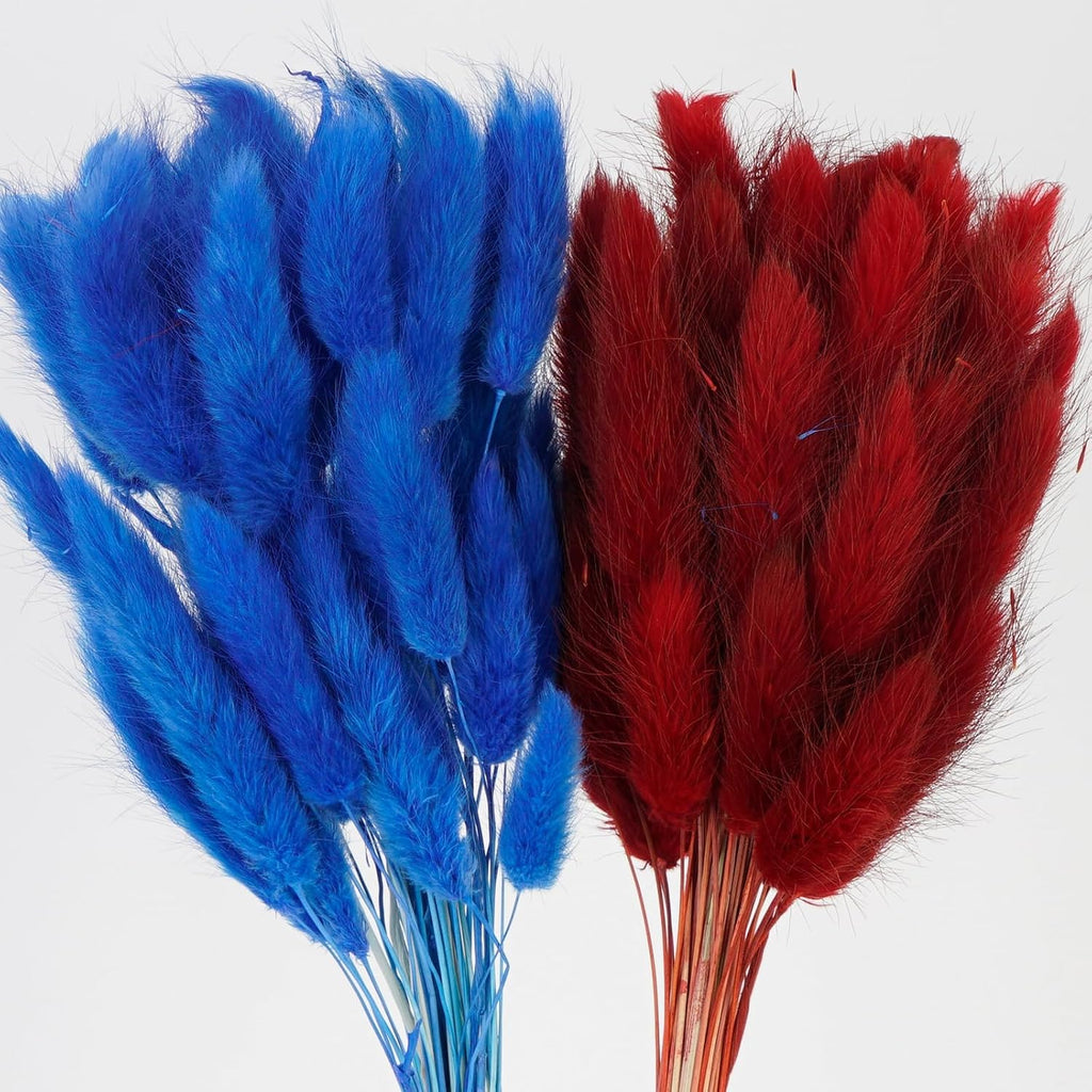 100 Pcs Dark Blue and Red Bunny Tails Dried Flowers