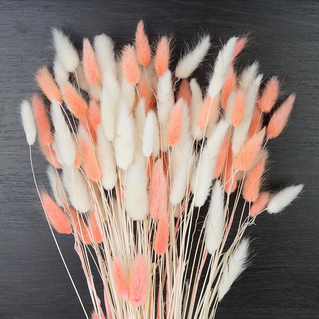 100 Pcs White and Pink Bunny Tails Dried Flowers