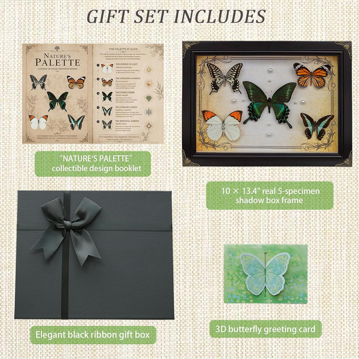 Nature's Palette 5 Real Butterfly Taxidermy Shadow Box Gift Set (10x13.4")