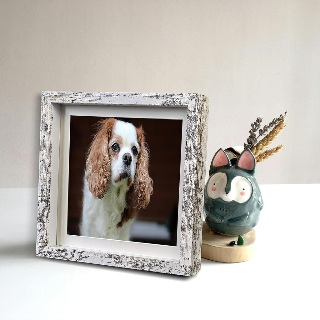 Rustic 8x8 Shadow Box Frame White Shadow Box Display Case Made of Solid Wood and Real Glass Internal Depth 0.6 inches for Wall Or Tabletop（3 Pack）