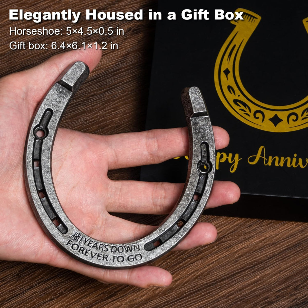 Horseshoe 6th Anniversary Iron Gifts for Him Her 6 Year Wedding Anniversary