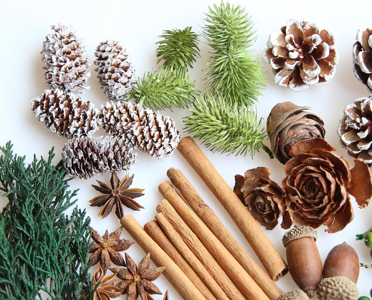 DIY Natural Dried Flower Kit - Bulk Dried Plants, Pine Cones, Scented Lemon Slices, Cinnamon Sticks Wood Roses & Mini Pinecones for Home Décor, Christmas Decoration (Green)