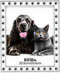 Dog Picture Frame - 8x10 Metal Cute Picture Frames,Pet Memorial Gifts for Dogs Perfect for Home Decor, Office Desk & Gifting to Pet Lovers