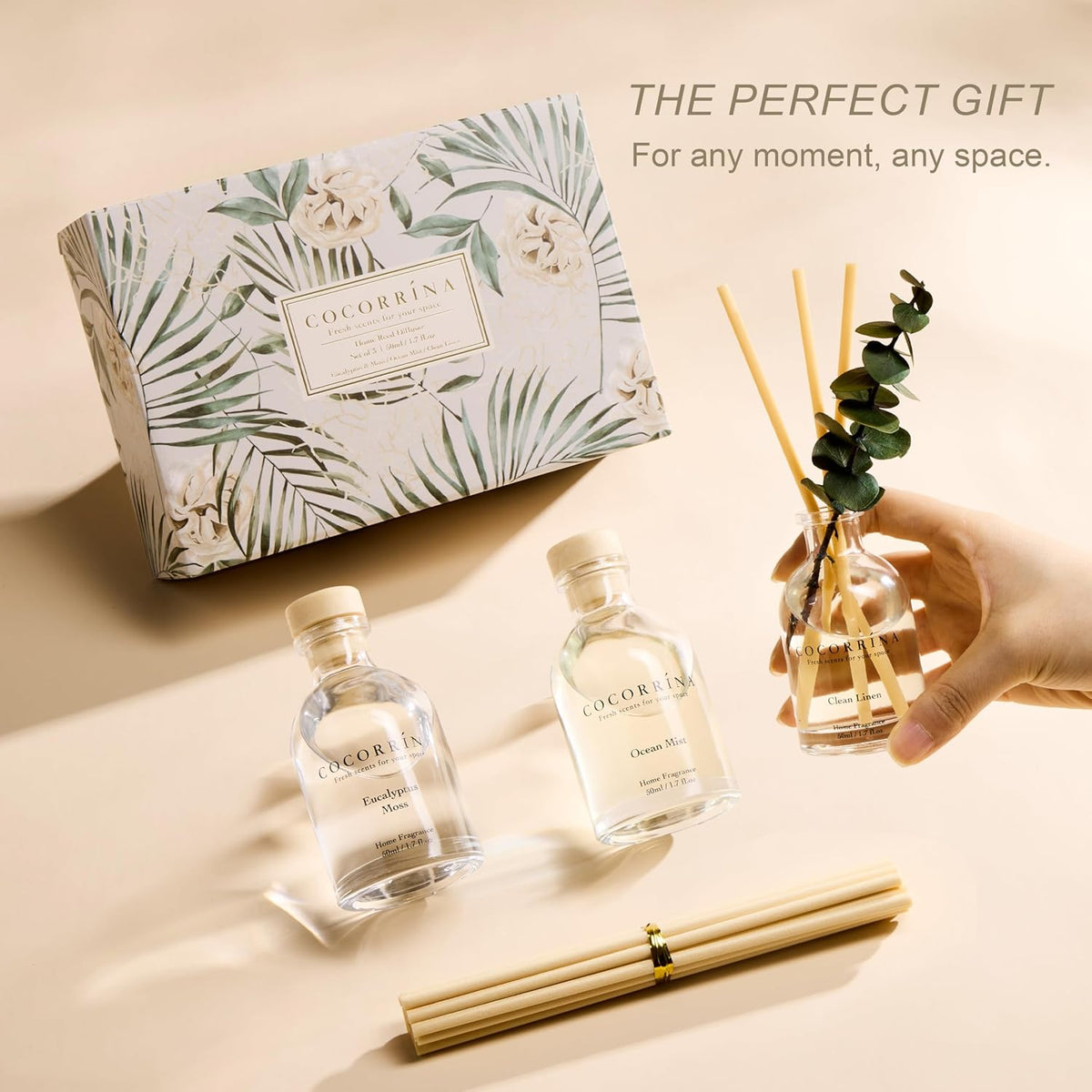 COCORRÍNA Reed Diffuser Set of 3 with Dried Eucalyptus for Home & Office