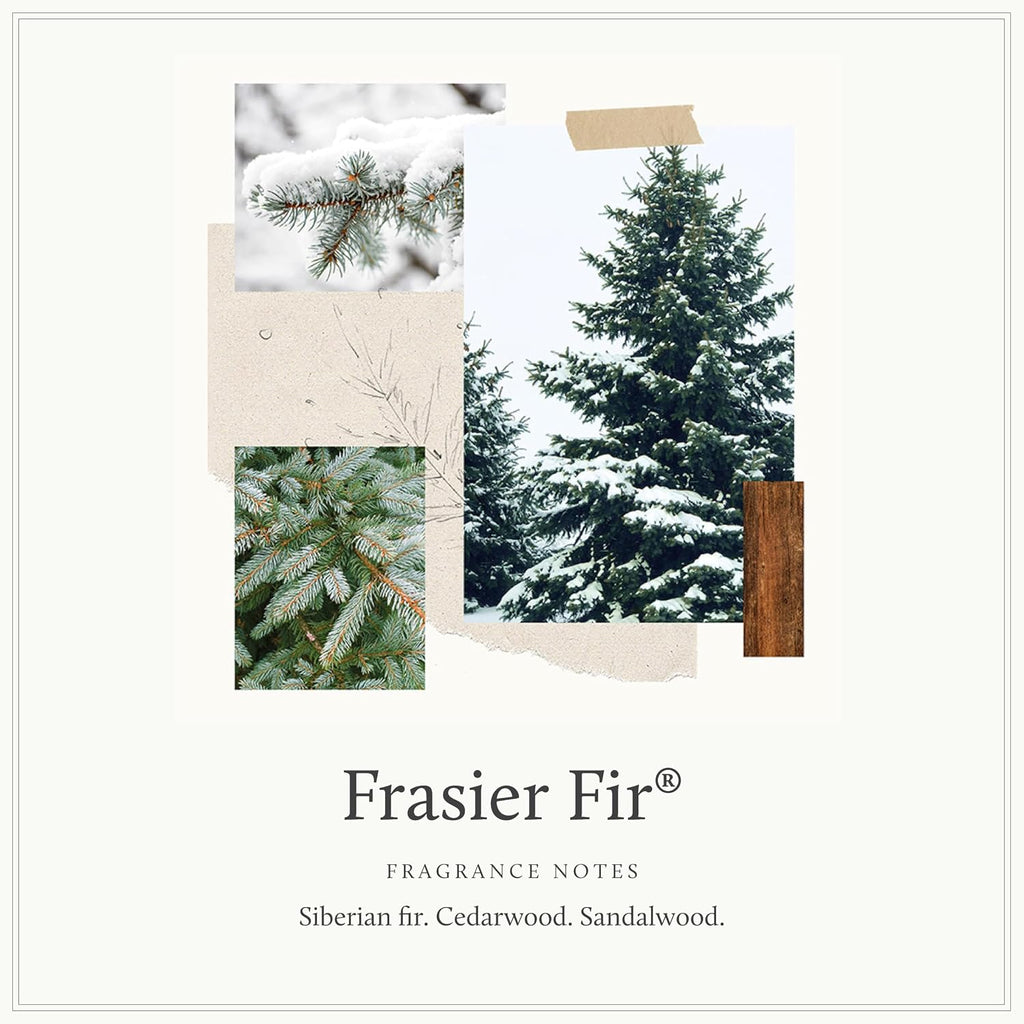 Thymes Frasier Fir Reed Diffuser Set, Tidings | Winter White, 4 fl oz