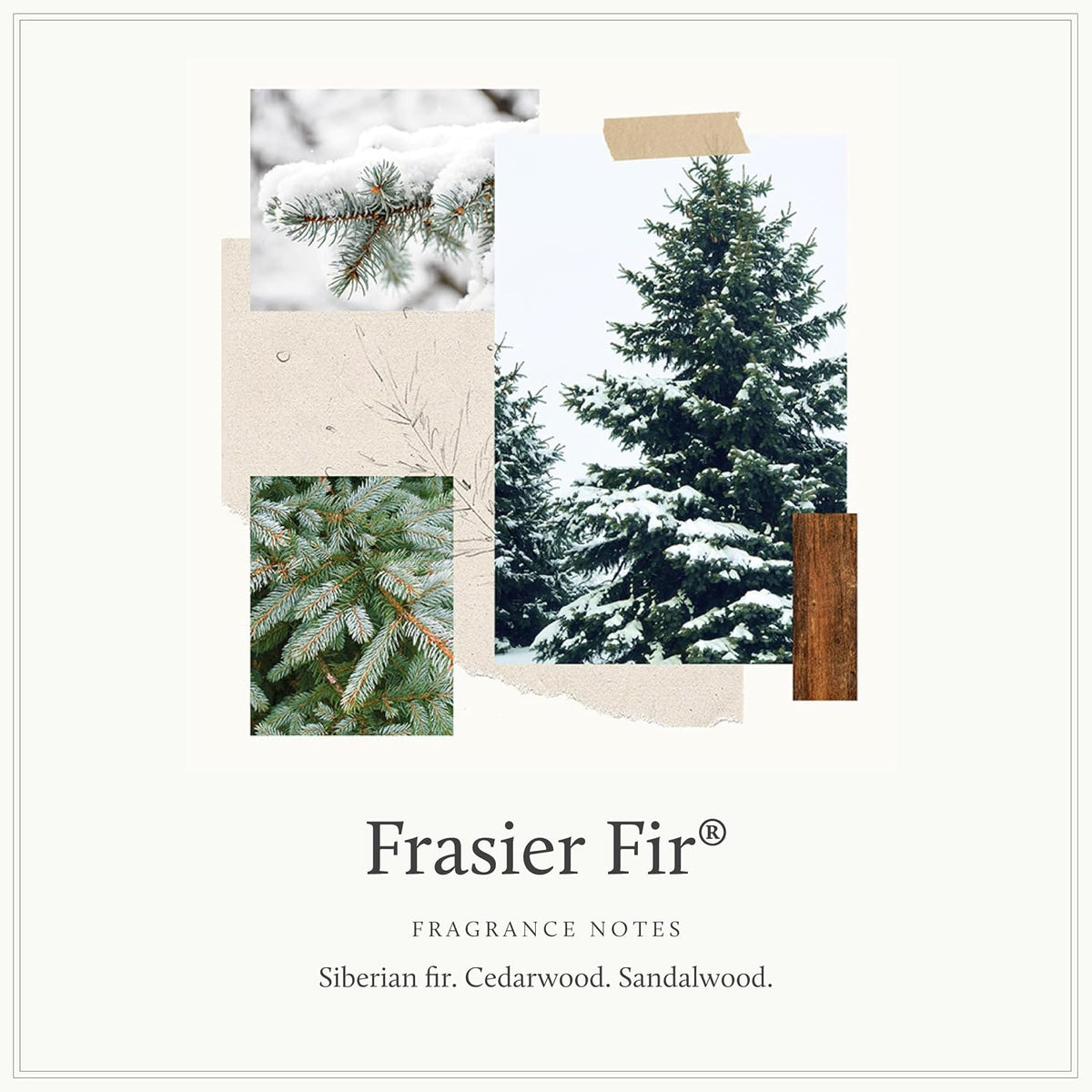 Thymes Frasier Fir Reed Diffuser Set, Tidings | Winter White, 4 fl oz