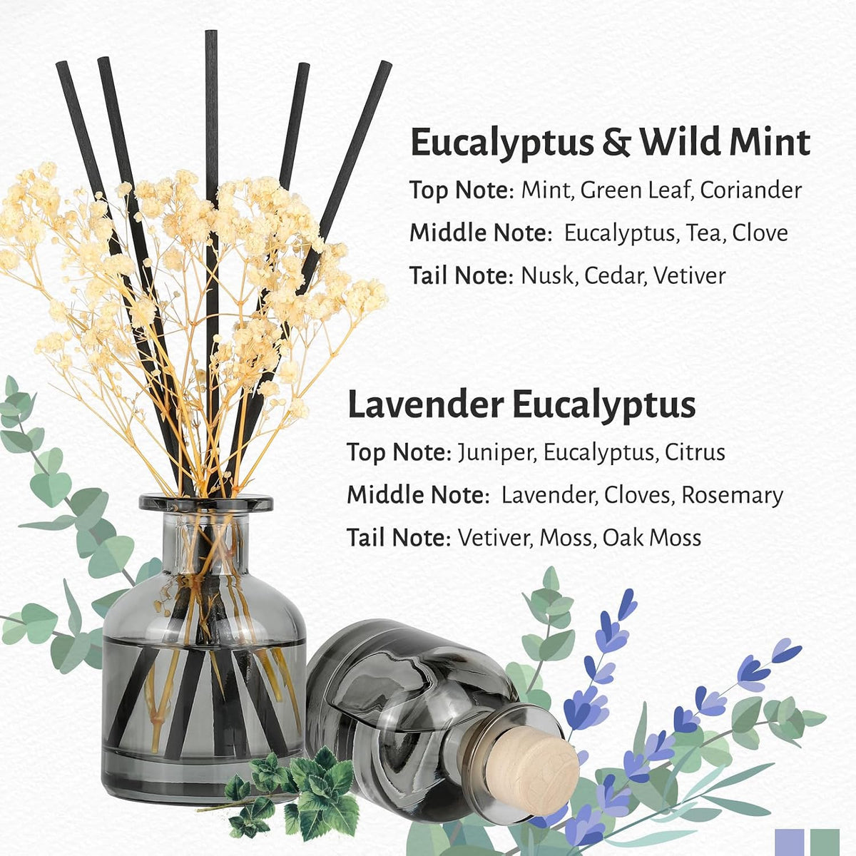 Brakula 2 Pack Reed Diffuser, Eucalyptus & Wild Mint + Lavender Eucalyptus (3.38 fl oz Each Pack), Home Fragrance with 12 Sticks, Shelf Decor, Reed diffusers for Home