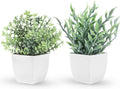 Der Rose 2 Pack Faux Plants Indoor Mini Plants for Desk Decor