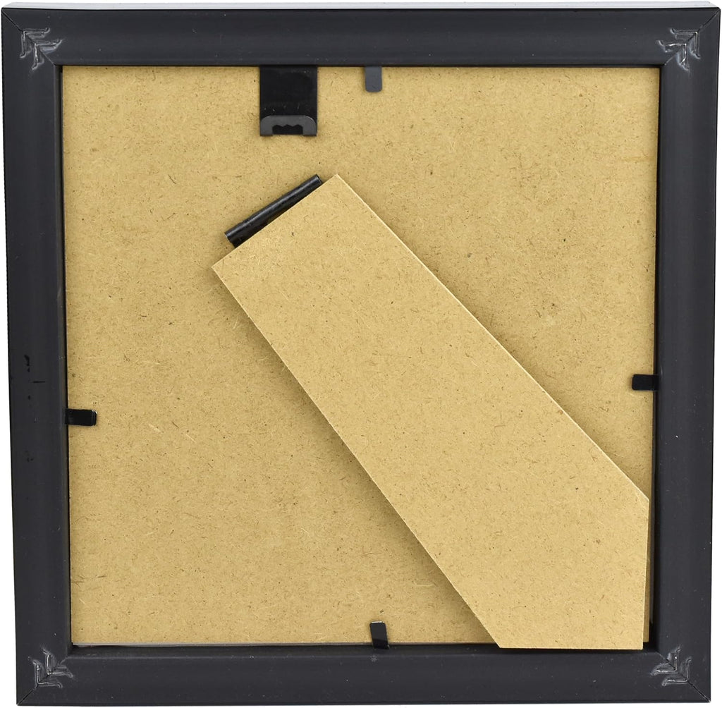 Tarantula or Leaf Insect in Gothic Shadow Box Frame | 𝗚𝗢𝗧𝗛𝗜𝗖 𝗧𝗔𝗫𝗜𝗗𝗘𝗥𝗠𝗬 | Witch & Halloween Décor for Bedroom | Goth Home Décor (Tarantula)