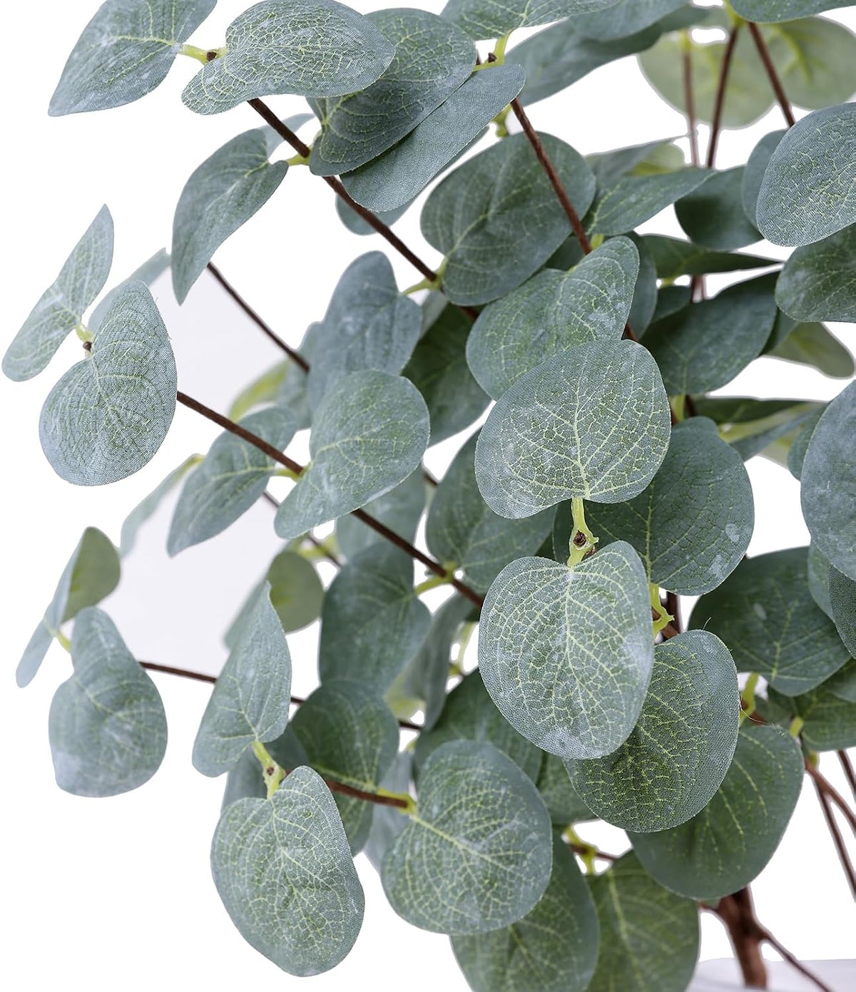 5Pcs Artificial Eucalyptus Stems Faux Greenery Silver Dollars Eucalyptus