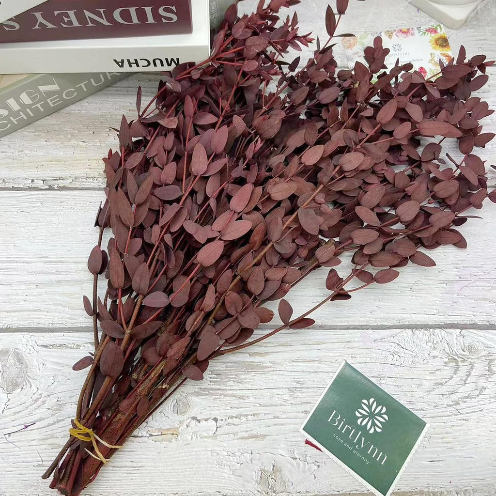 Preserved Dried Eucalyptus Greenery Stems, 20+ Pcs 16 inches Natural Long Lasting Eucalyptus Bundles for Vase Arrangements Home Decoration Photo Props Parties and Weddings, DIY Décor-Red