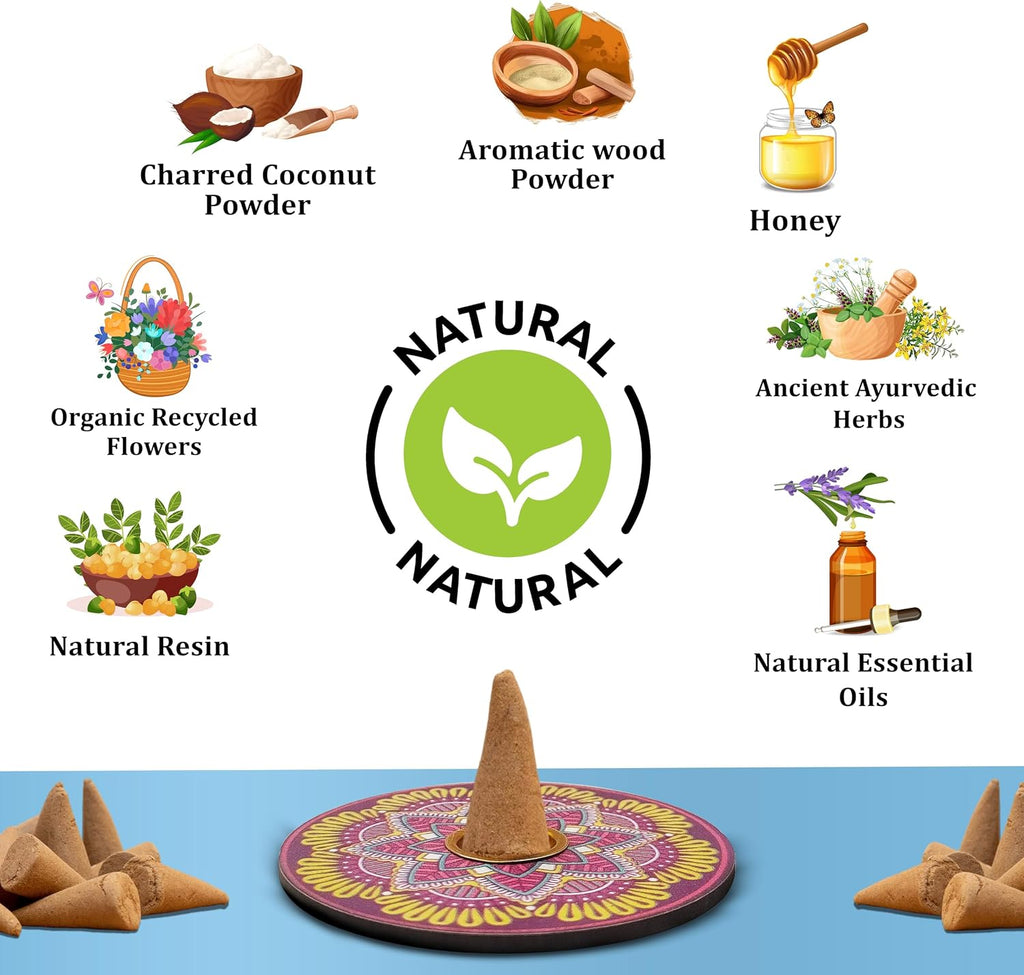 Raajsee Incense Cones, 6 Pack Island Retreat Cone Gift Pack 15 pc Each (90 Total), Insence Cones Variety Pack, 100% Organic Non Toxic Natural - Free from Chemicals
