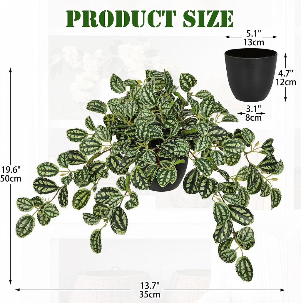 Briful Artificial Potted Plant Indoor, 19.6" Faux Watermelon Peperomia Trailing Plant in Black Pot, Realistic Fake Plants with Cascading Green Leaves for Shelf Bathroom Office Desk Kitchen Home Decor