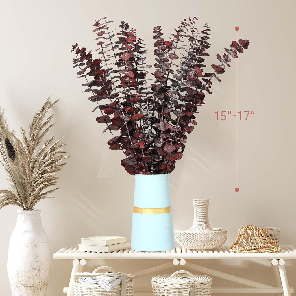 20 Pcs Dried Eucalyptus Stems, 17'' Real Red Leaves for Fall Decoration