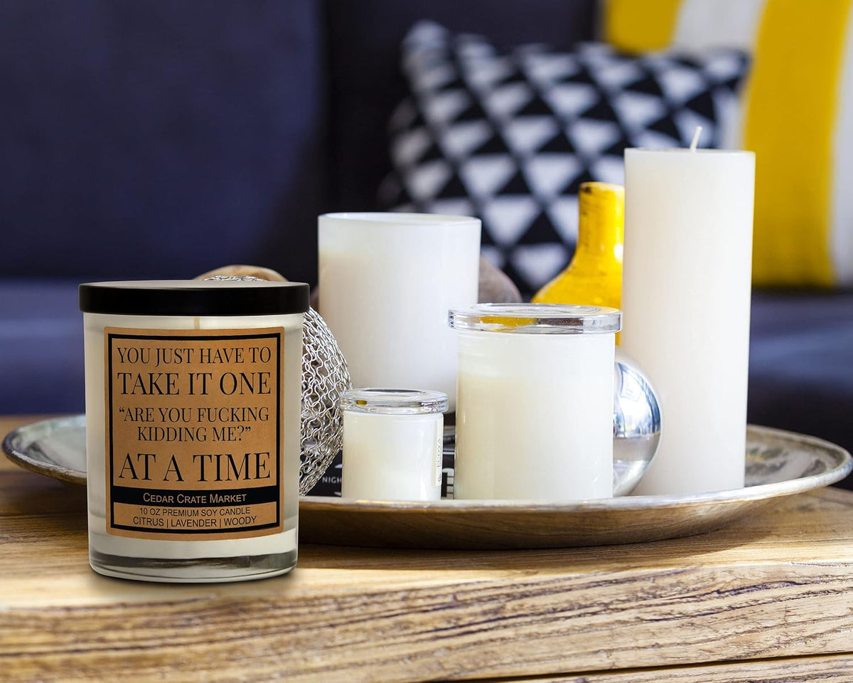 You Just Have to Take It, Funny Candles Gift for Women Friends Mom, BFF, Girlfriend, Boyfriend, Inappropriate Candles with Funny Sayings, Lavender Scented, Made in USA