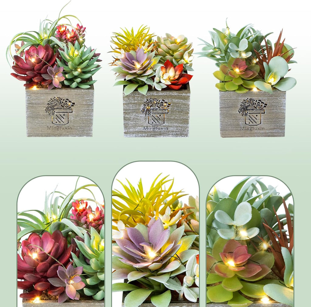 Succulents Plants Artificial with Light for Home Office Decor 3 Pack