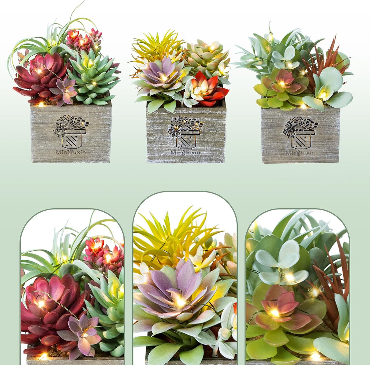 Succulents Plants Artificial with Light for Home Office Decor 3 Pack