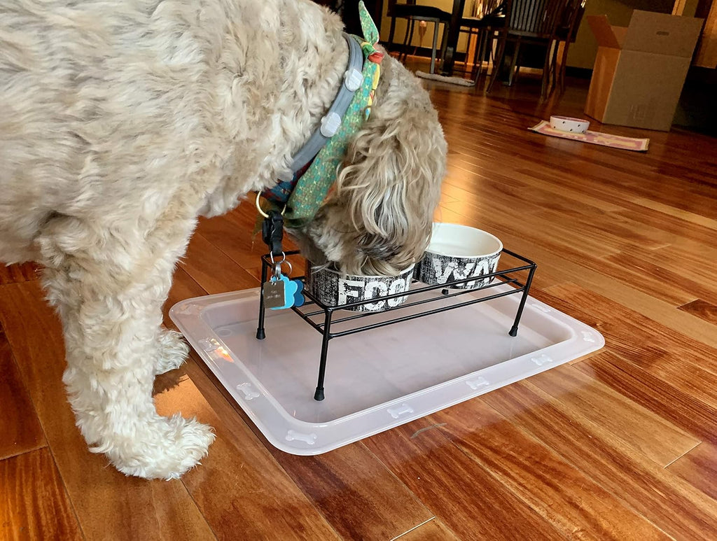 PetRageous 55142 Bone N Up Non-Slip Clear Plastic Dog Feeding Tray 19.125-Inch by 13.125-Inch for Dogs and Cats, White