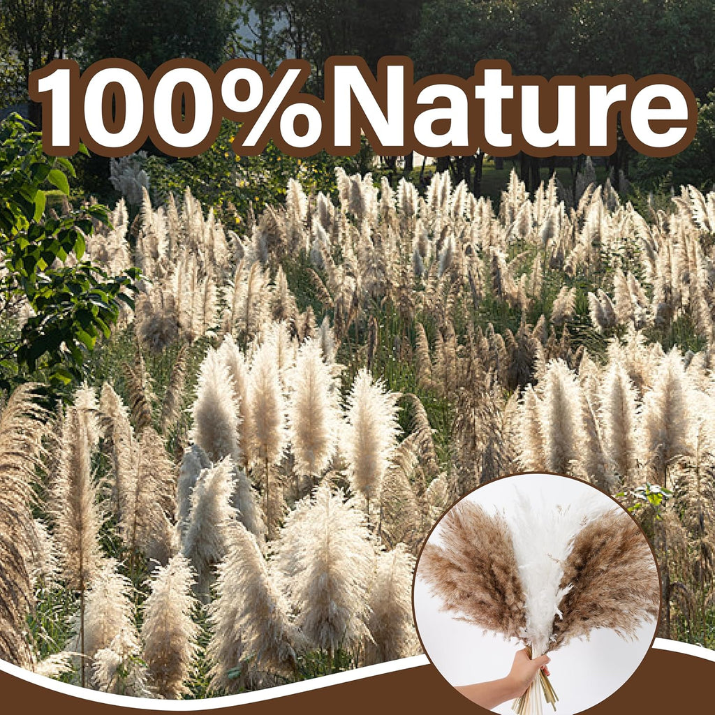 50PCS Tall Dried Pampas Grass Stems 17" for Floor Vase Decor