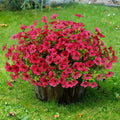 Sggvecsy Artificial Flowers for Outdoors 12 Bundles Realistic Faux Plants UV Resistant Fake Silk Daisy with Eucalyptus for Boxwood Planter Patio Porch Outside Spring Summer Decoration(Rose Red)