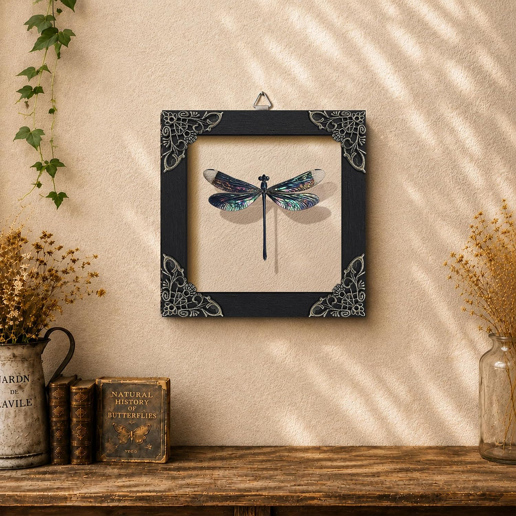 Real Dragonfly 4.7" Framed Insect Specimen Taxidermy Gothic Gift K12-85-KI