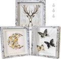 Rustic 8x8 Shadow Box Frame White Shadow Box Display Case Made of Solid Wood and Real Glass Internal Depth 0.6 inches for Wall Or Tabletop（3 Pack）