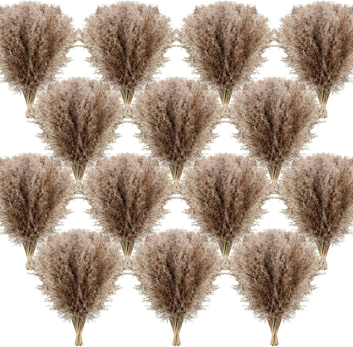 Janinka 300 Pcs Dried Fluffy Pampas Grass Bulk 17 Inch, Boho Decor, Brown