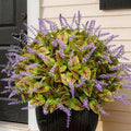 12 Bundles Artificial Coleus Flowers | UV Resistant No Fade Silk Faux Plants | Spring Summer Outdoor Fake Greenery for Garden Patio Planters Front Porch Pathway Decor (Green)