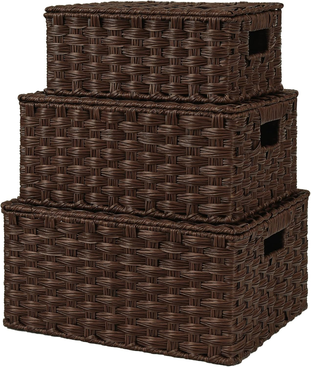 GRANNY SAYS Wicker Baskets with Lids, Decorative Storage Boxes with Lids