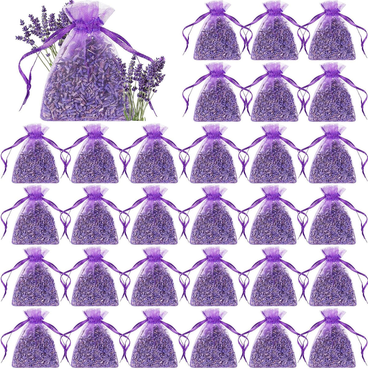 Reginary 30 Pack Lavender Sachets Bulk for Drawers Closets Wedding Favor
