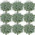 Serwalin 300PCS Mixed Eucalyptus Stems, Greenery Stems for Centerpieces