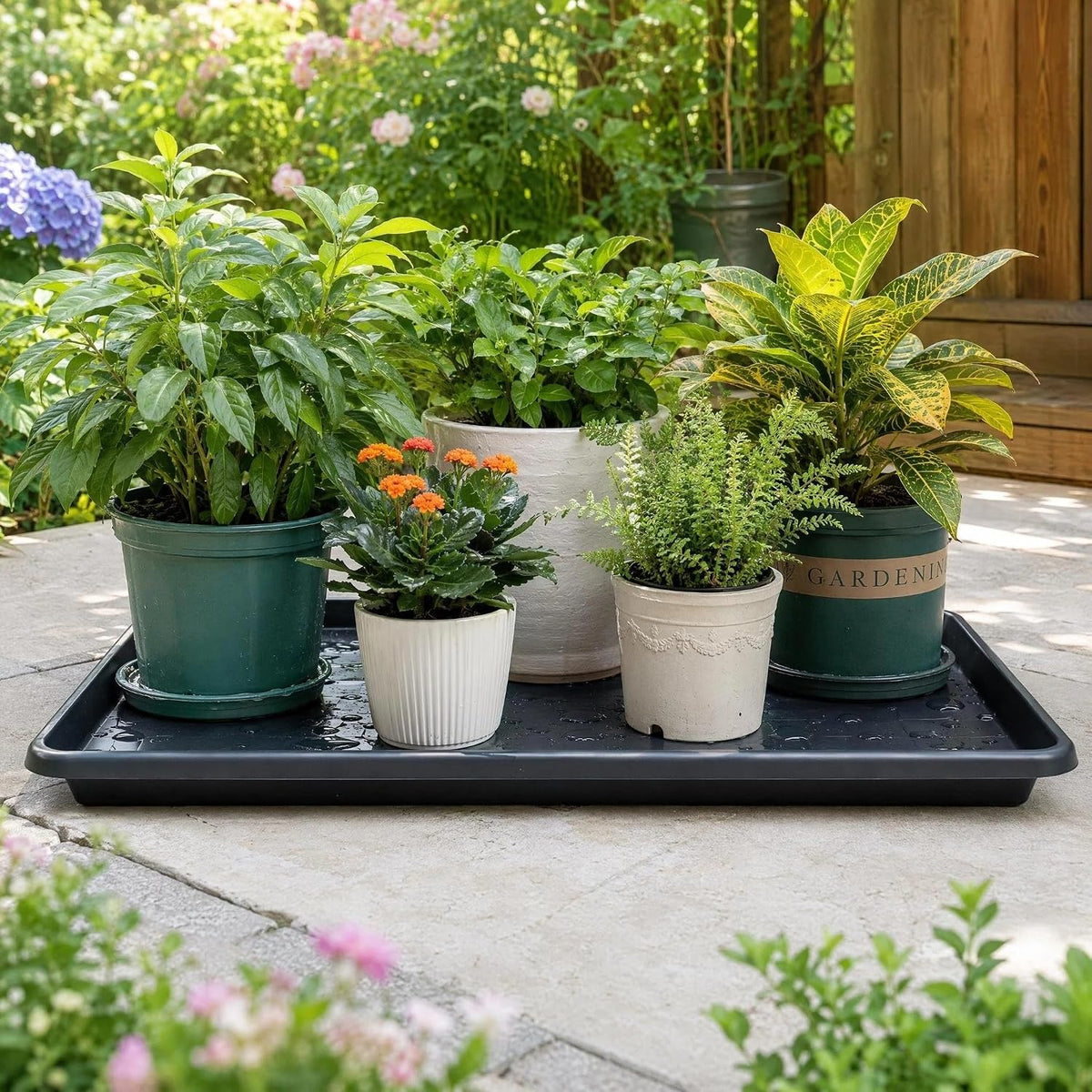 1-Pack Extra Large Plastic Oil Drain Drip Pan,35"x24"x1.6"